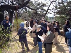 �Ԑ������̂ЂƃR�}