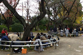 ���ؕ׋���̗l�q